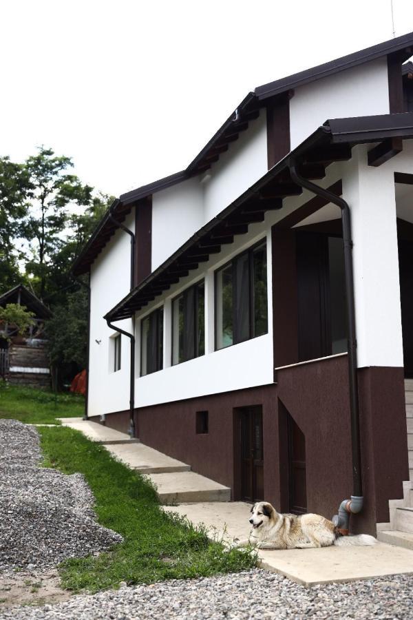 Hatasul Bunicului Arefu Exterior foto